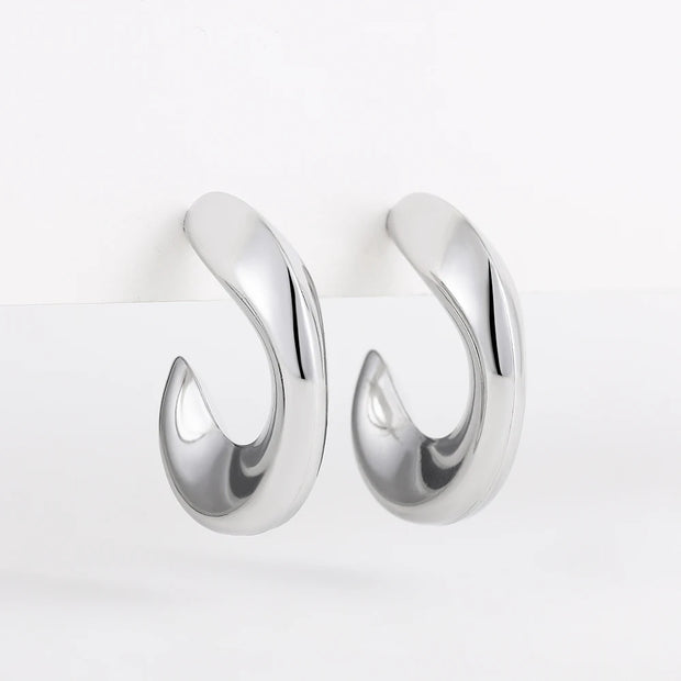 Twisted Hoop Earrings