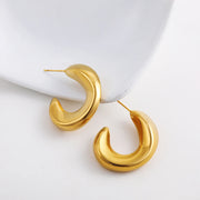 Twisted Hoop Earrings